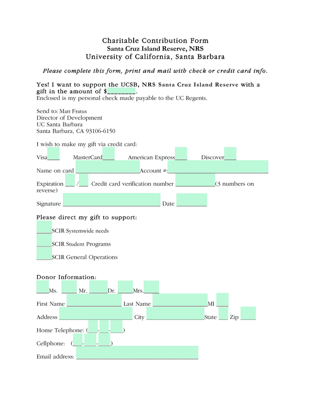 Charitable Contribution Form screenshot