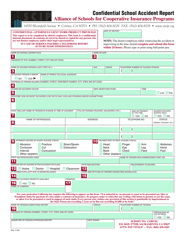 Student Accident Report Form screenshot