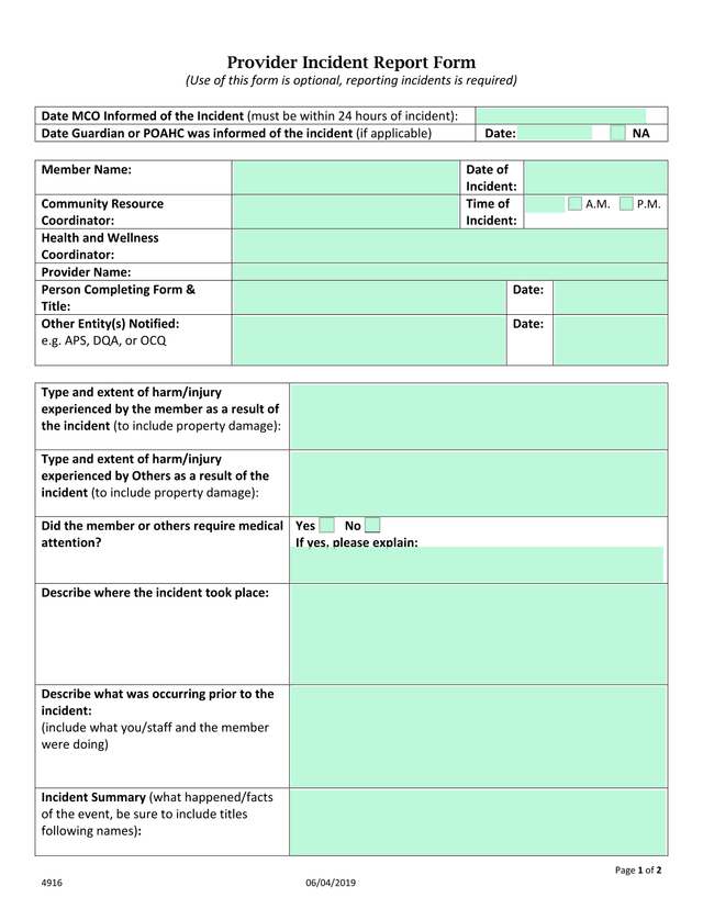 Provider Incident Report Form screenshot
