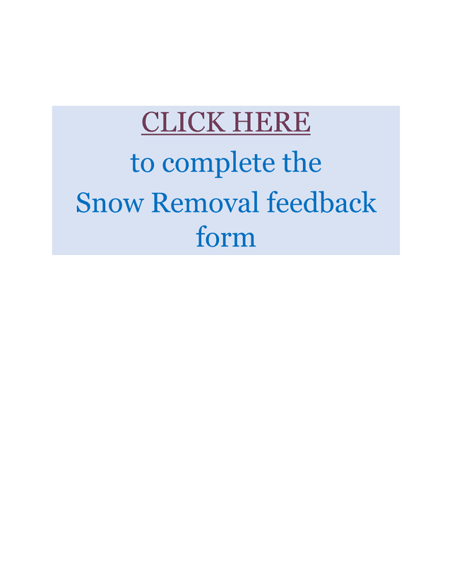 Snow Removal Feedback Form screenshot