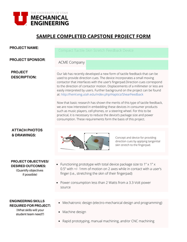 Sample Completed Capstone Project Form screenshot