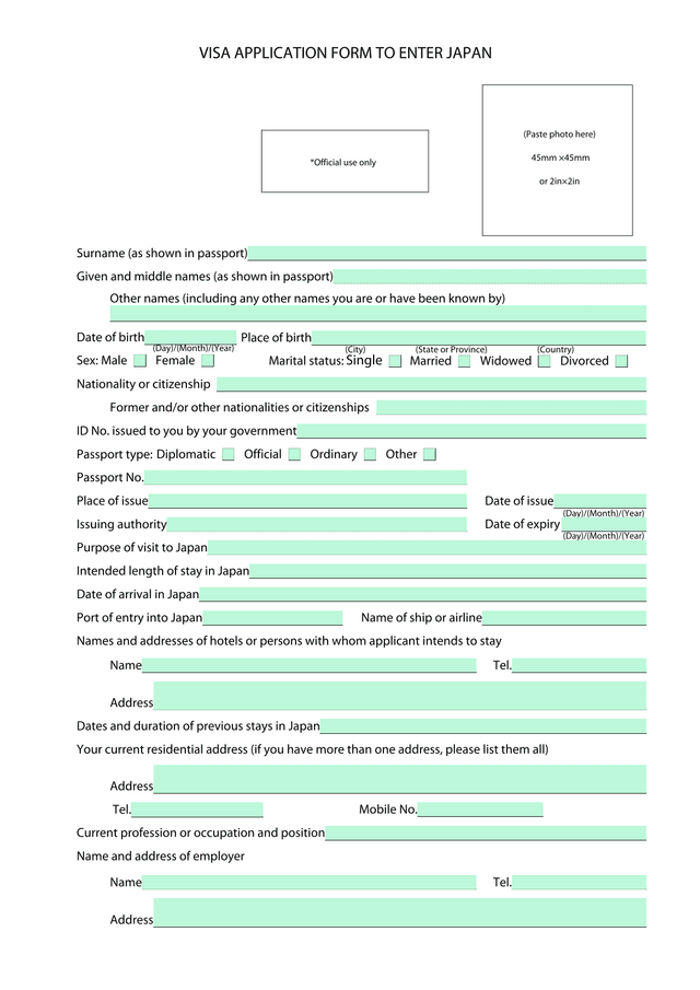 VISA APPLICATION FORM TO ENTER JAPAN screenshot