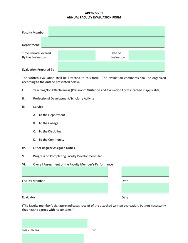 ANNUAL FACULTY EVALUATION FORM screenshot
