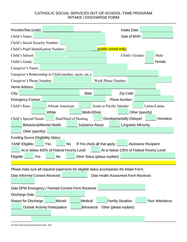 Out Of School Time Program Intake  Discharge Form screenshot