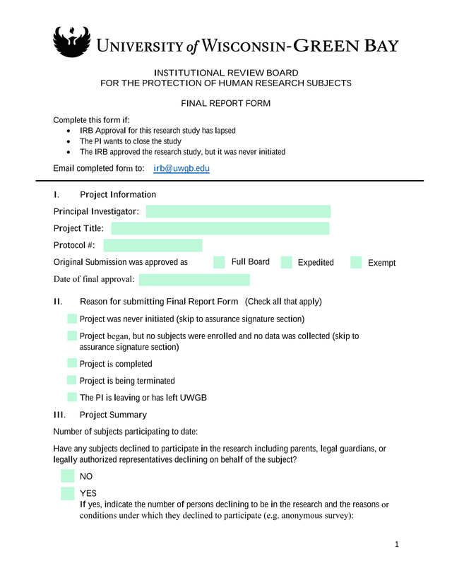 Institutional Review Board Final Report Form screenshot