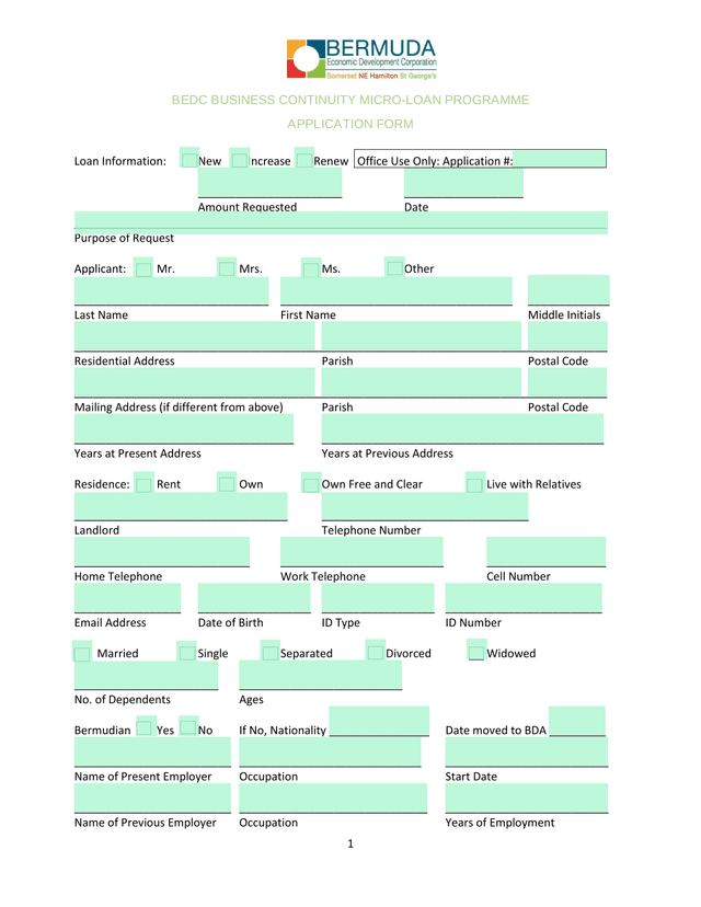 BEDC BUSINESS CONTINUITY MICRO LOAN PROGRAMME APPLICATION FORM screenshot
