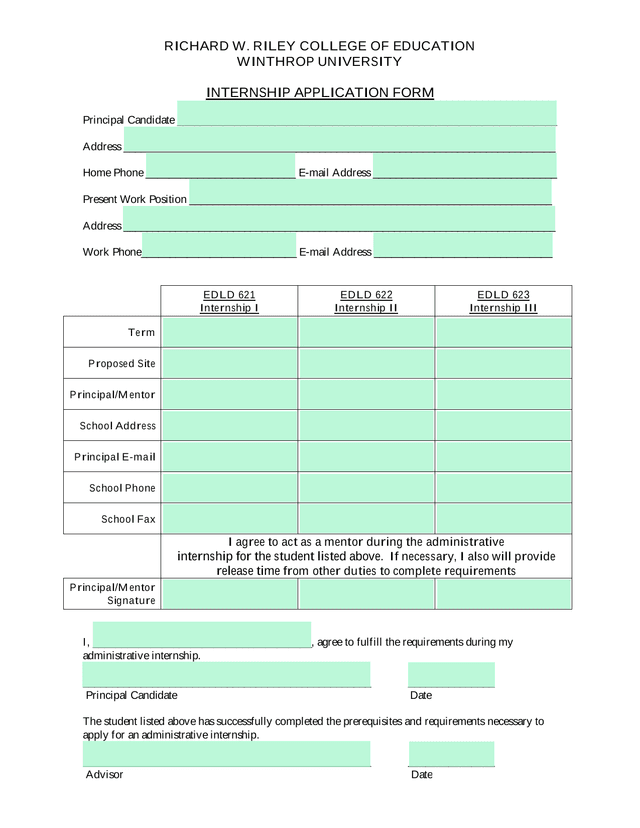 Internship Application Form screenshot