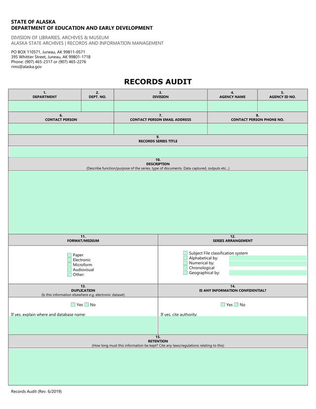 Records Audit screenshot