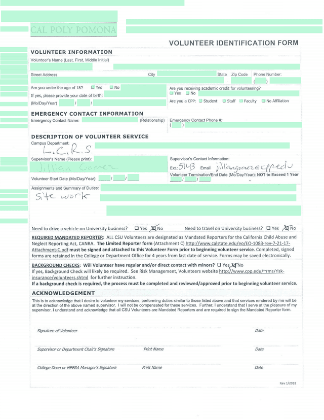 Volunteer Information Form screenshot