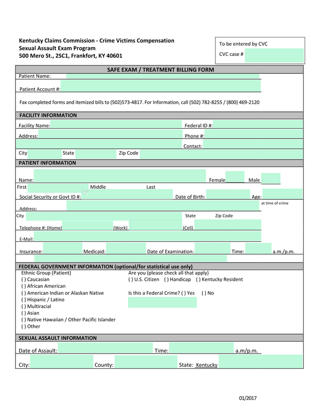 SAFE Exam  Treatment Billing Form screenshot