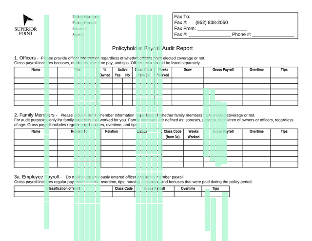 Policyholder Payroll Audit Report screenshot