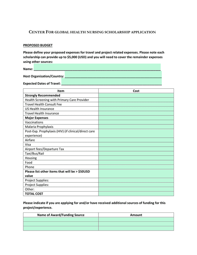 CENTER FOR GLOBAL HEALTH NURSING SCHOLARSHIP APPLICATION screenshot