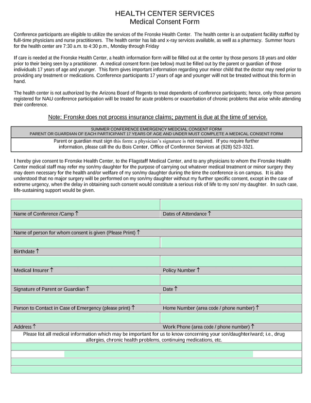 Summer Conference Emergency Medical Consent Form screenshot