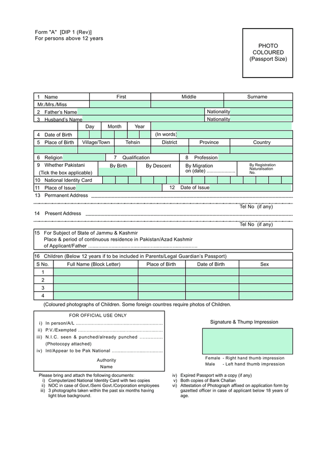 Form A DIP 1 (Rev) screenshot