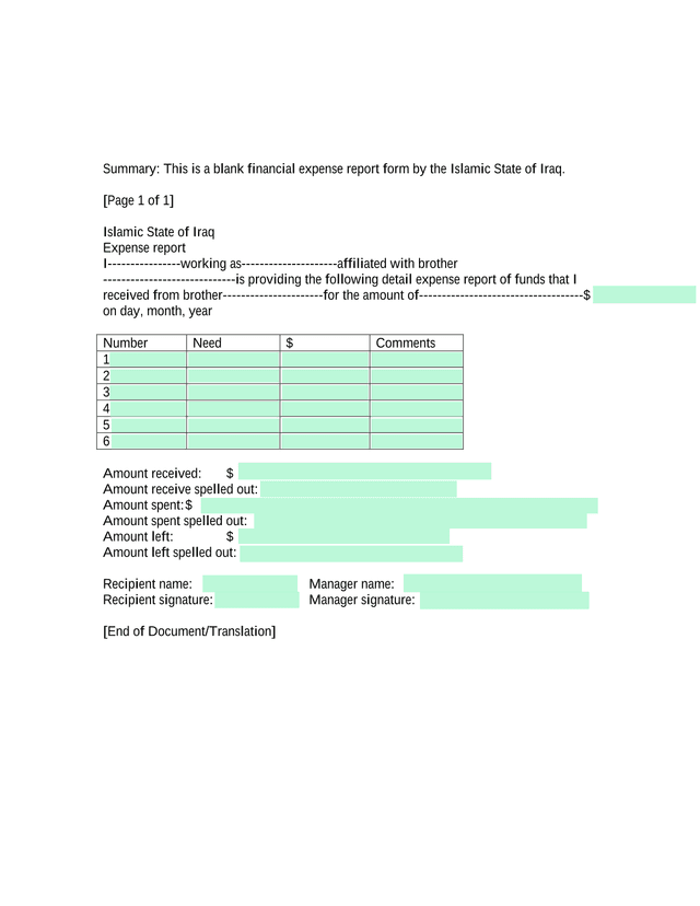 Islamic State Of Iraq Expense Report screenshot