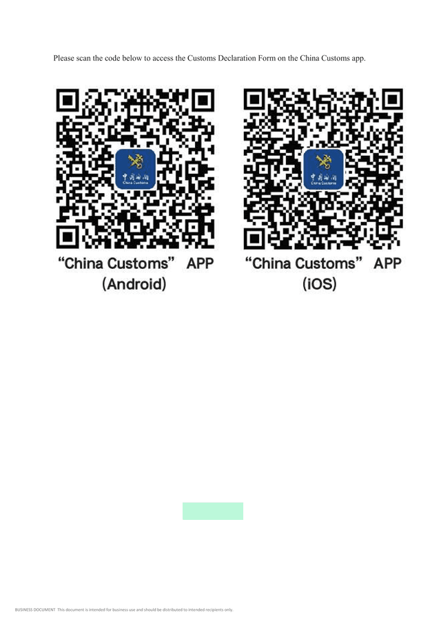 Customs Declaration Form screenshot