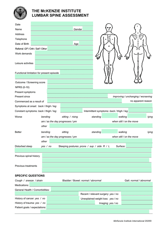 McKenzie Institute International Lumbar Spine Assessment screenshot