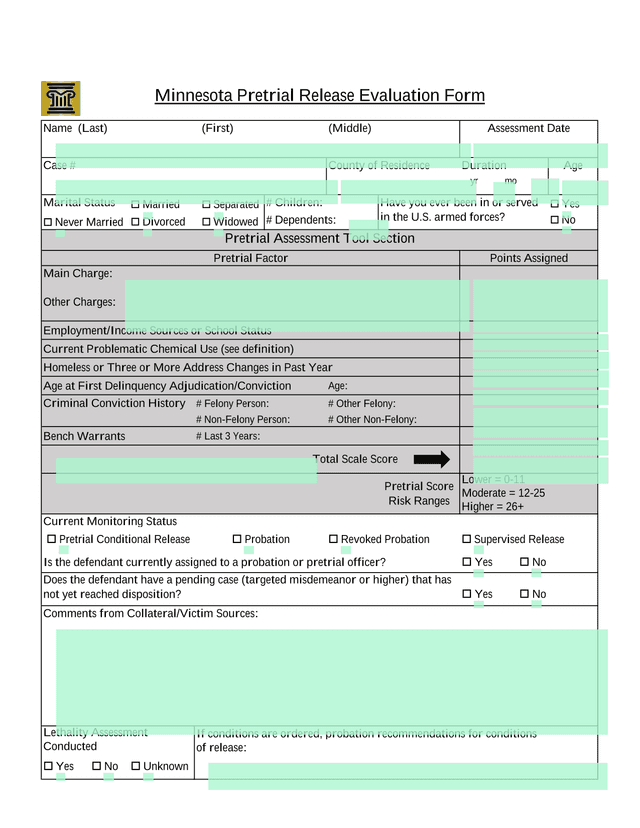 Minnesota Pretrial Release Evaluation Form screenshot