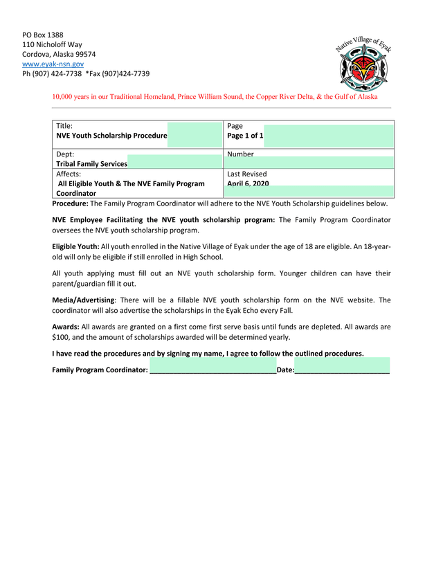 NVE Youth Scholarship Procedure screenshot