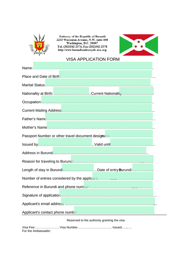 Visa Application Form screenshot