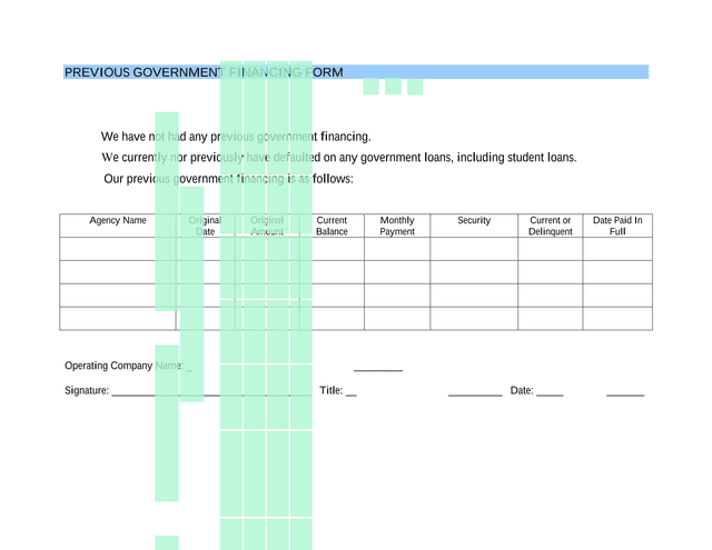 Previous Government Financing Form screenshot