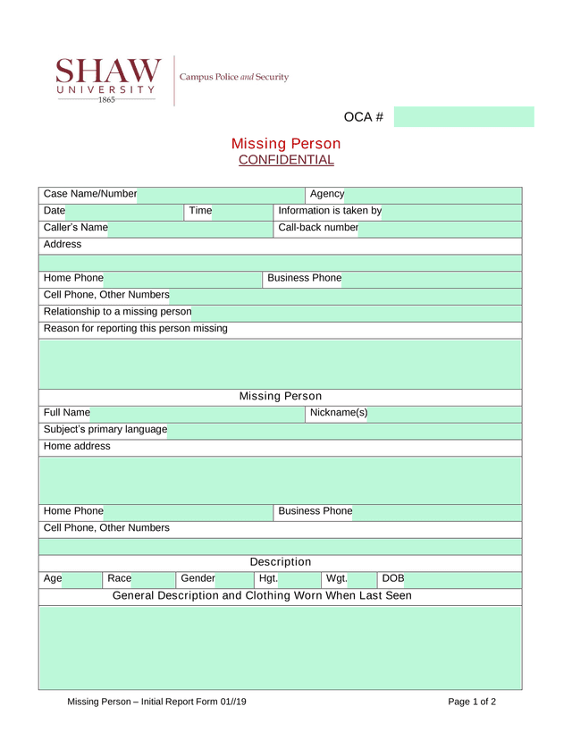 Missing Person  Initial Report Form screenshot