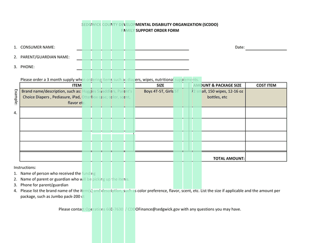 FAMILY SUPPORT ORDER FORM screenshot