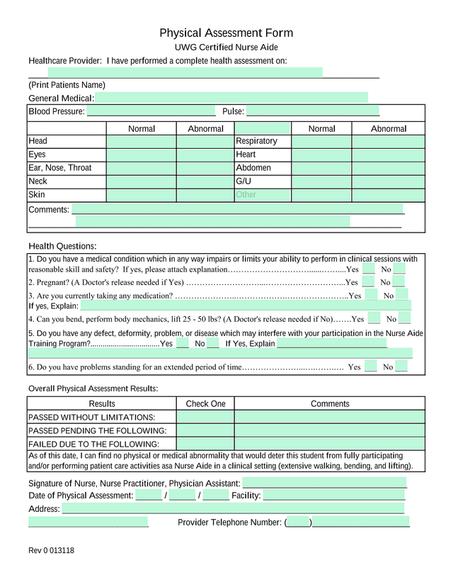 Physical Assessment Form screenshot