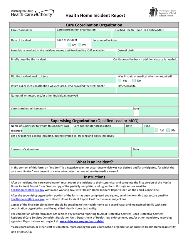 Health Home Incident Report screenshot