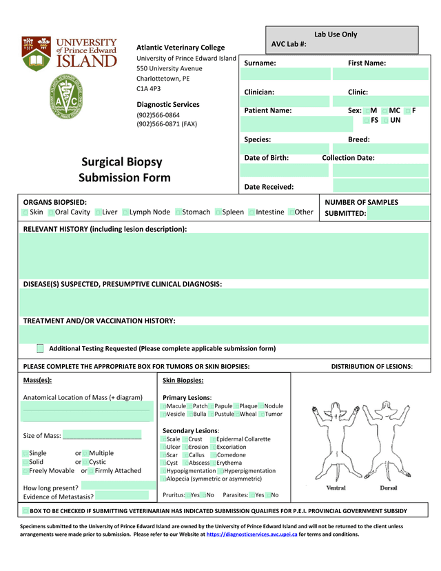 Surgical Biopsy Submission Form screenshot