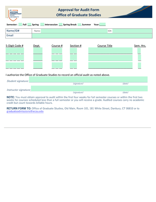 Approval For Audit Form screenshot