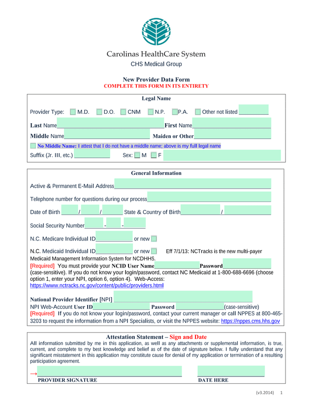 New Provider Data Form screenshot
