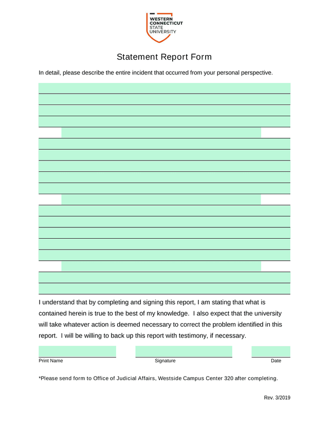 Statement Report Form screenshot