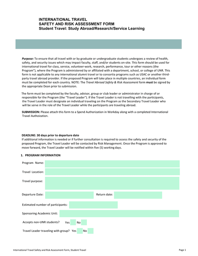 International Travel Safety And Risk Assessment Form screenshot