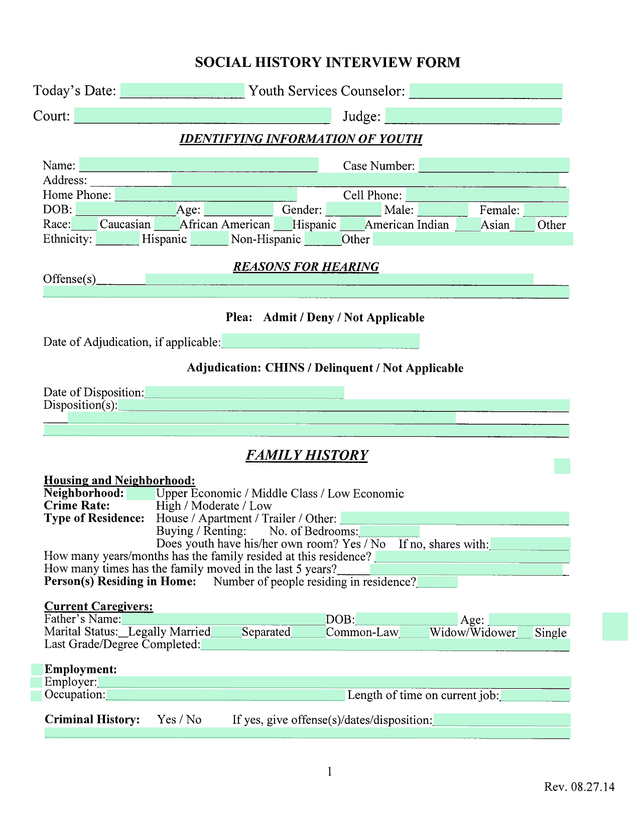 Social History Interview Form screenshot