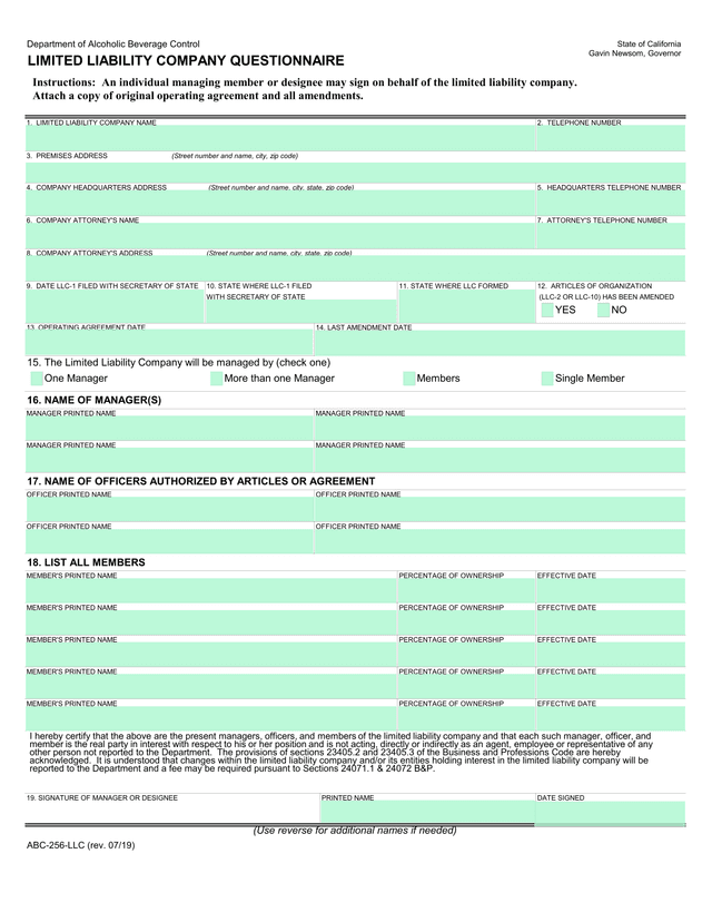 Limited Liability Company Questionnaire screenshot
