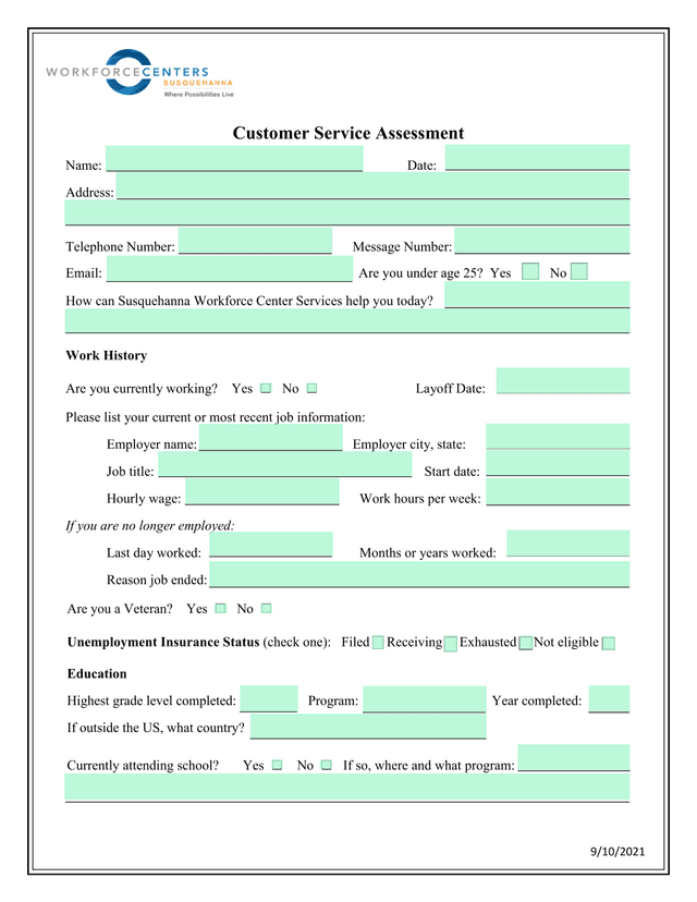 Customer Service Assessment screenshot