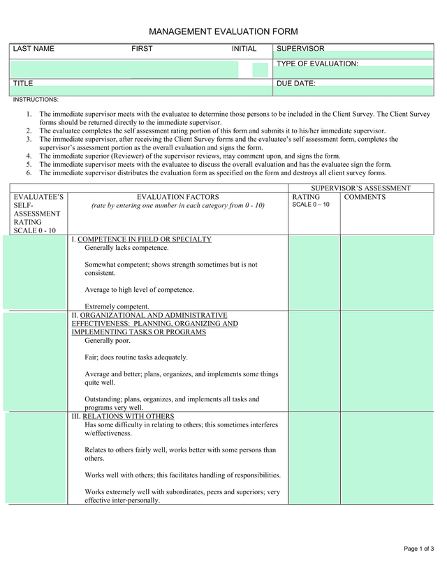 Management Evaluation Form screenshot