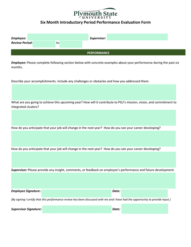 Six Month Introductory Period Performance Evaluation Form screenshot