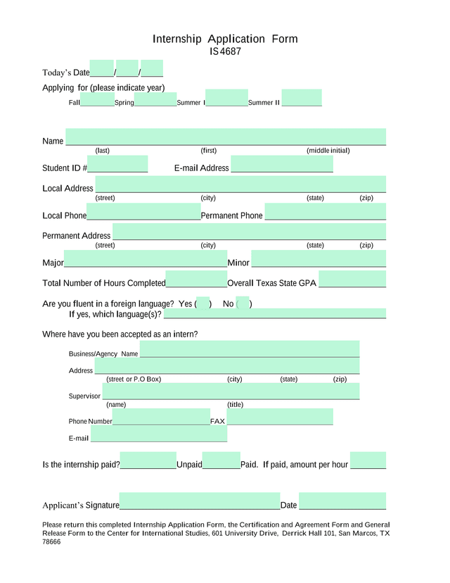 Internship Application Form IS 4687 screenshot