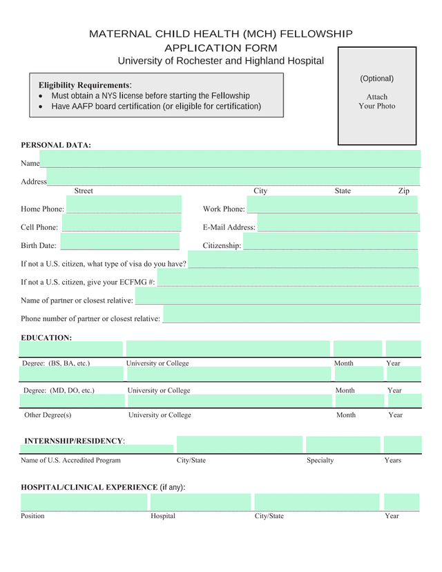 MATERNAL CHILD HEALTH (MCH) FELLOWSHIP APPLICATION FORM screenshot