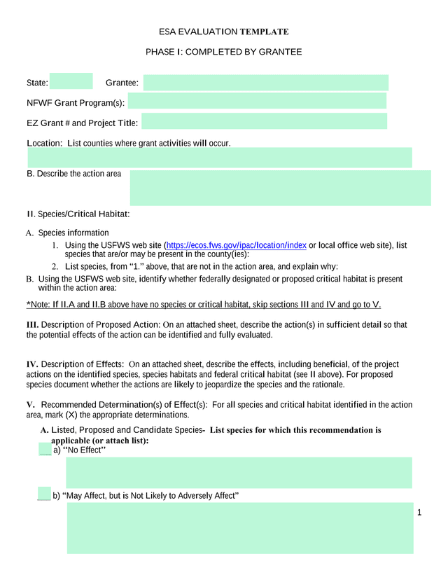 ESA EVALUATION TEMPLATE screenshot