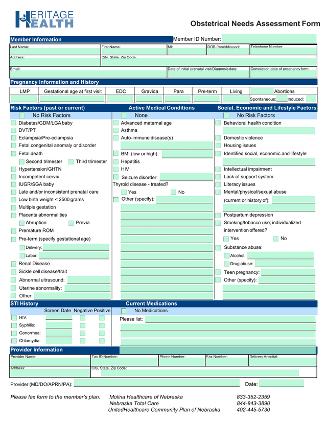 Obstetrical Needs Assessment Form screenshot