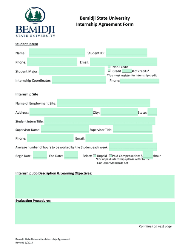 Bemidji State Universities Internship Agreement screenshot