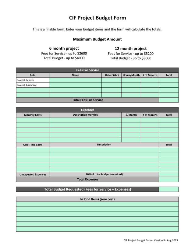 CIF Project Budget Form screenshot