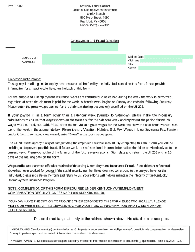 UI 203 Overpayment And Fraud Detection Form screenshot
