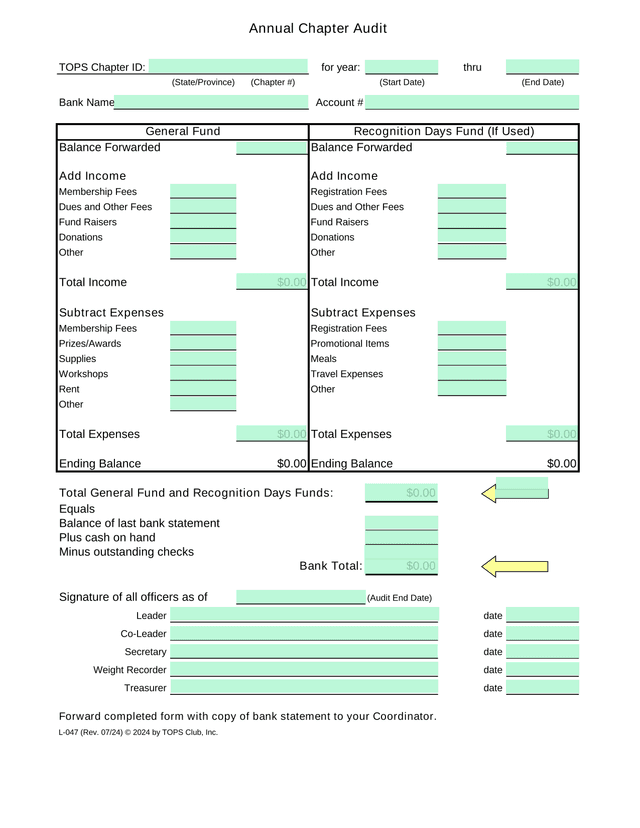 Annual Chapter Audit screenshot