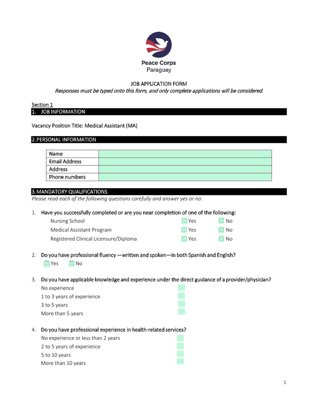 Paraguay Job Application Form screenshot
