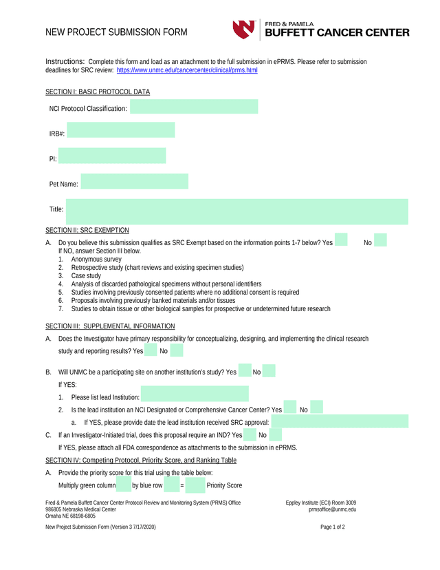 New Project Submission Form screenshot