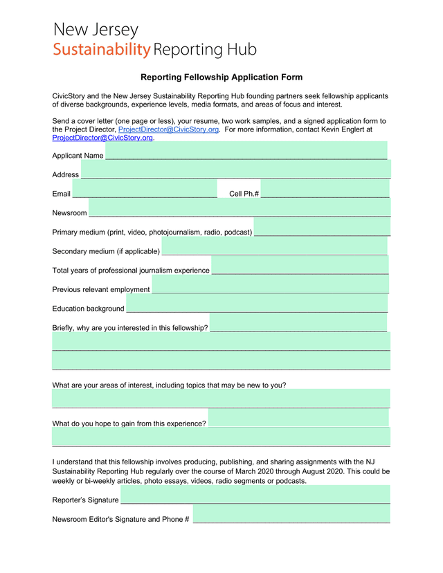 Reporting Fellowship Application Form screenshot